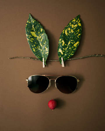Bunny rabbit face made of natural green leaves with sunglasses and red radish on brown background. Flat lay. Minimal concept.の写真素材