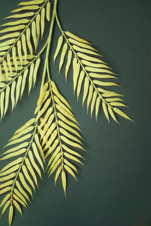 Yellow palm leaf on abstract dark green background. Tropical, simple and summer concept. Flat lay.の写真素材