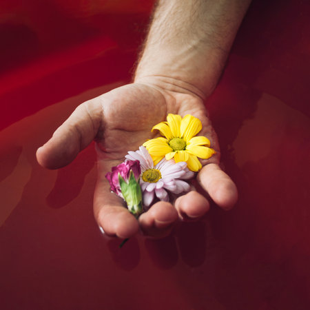 Man is holding colourful natural spring flowers in his hand. Interesting and creative concepts. Dark red background.の写真素材
