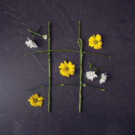 Creative play x-ox with spring yellow and white flowers. Nature concept on gray background. Creative arrangement. Flat lay.の写真素材