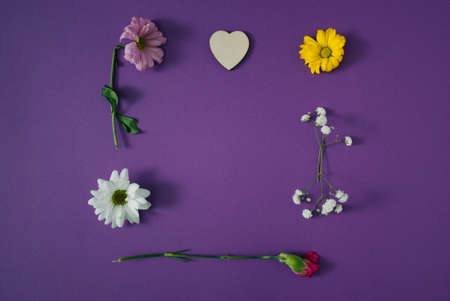 Creative flat lay composition with spring colorful flowers and heart on violet background. Natural lighting and shadows.の写真素材