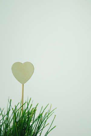 White heart like lollypop in the green grass. Light beackground.の写真素材