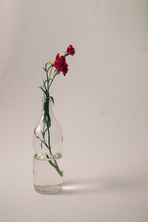 Glass bottle with water and red  flowers inside on natural white background. Simple beautiful concept. Vintage, side view.の写真素材