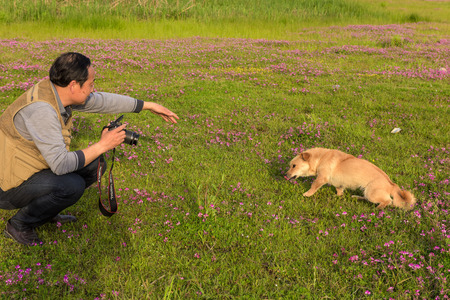 Dog with it\'s owner のeditorial素材