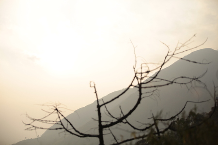 mountain view of gap road in munnarの写真素材