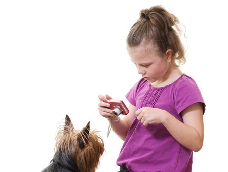 preteen girl taking a picture of pet dogの写真素材