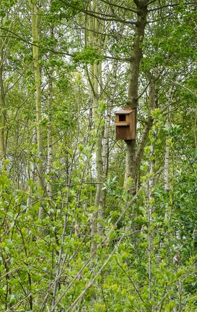 nesting box for wild birds fixed to a treeの写真素材