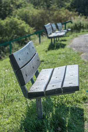 set of three benches at paths edge in park settingの写真素材