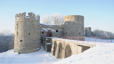 Kind on the Koporsky fortress in winter day  Leningrad region のeditorial素材