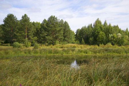 In the oxbow river Vetluga in late summer. Kostroma Region, Russiaの写真素材