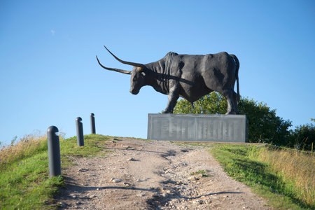 RAKVERE, ESTONIA - AUGUST 01, 2015: A sculpture of a bull "Tarvas". The symbol of the city Raquela, view the profile, sunny dayのeditorial素材