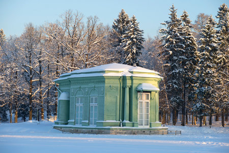 Venus Hall January evening. Gatchina, Russiaのeditorial素材