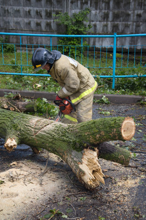SAINT PETERSBURG, RUSSIA - JUNE 16, 2016: Emergency workers are clearing the streets from the collapsed the old tree after a stormのeditorial素材