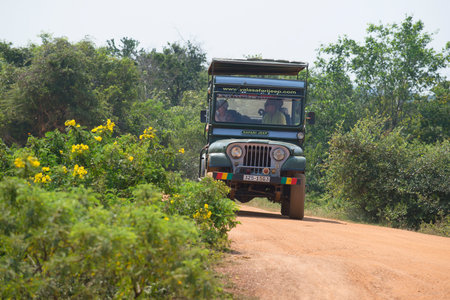YALA, SRI LANKA - MARCH 25, 2015: Jeep with tourists on excursions to Yala national Parkのeditorial素材