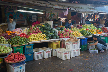 HOI AN, VIETNAM - JANUARY 04, 2016: Fruit trading in the urban market of Hoi Anのeditorial素材