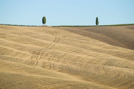 A sloping hilly field on a sunny day. Landscape of Tuscany, Italyの写真素材