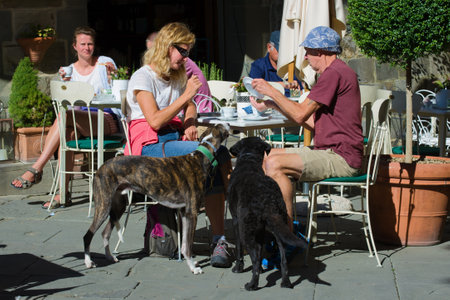 MONTALCHINO, ITALY - SEPTEMBER 21, 2017: Morning coffee at a street cafeのeditorial素材