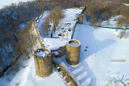 Above Koporye fortress in February day. Leningrad region, Russiaのeditorial素材