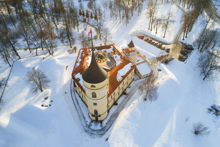 Above Beep Castle on a sunny February day. Pavlovsk, Russiaのeditorial素材