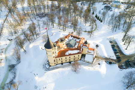 Above the Bip Castle in the afternoon of February (aerial photography). Pavlovsk, Russiaのeditorial素材