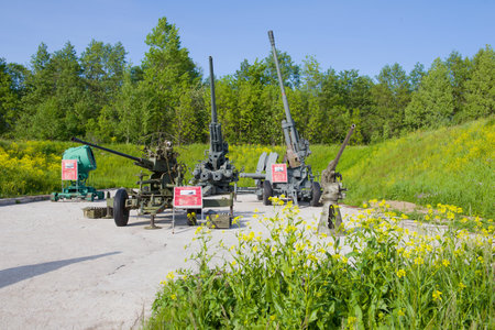 SAINT-PETERSBURG, RUSSIA - JUNE 03, 2019: Anti-aircraft artillery exposition in the Patriot park on a sunny summer day. Kronstadtのeditorial素材