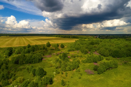 Rural landscape before the thunderstorm in July (shooting from a quadrocopter). Leningrad region, Russiaのeditorial素材
