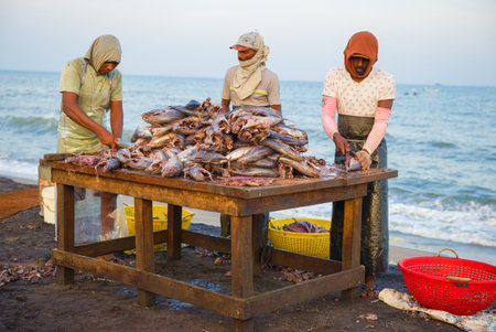NEGOMBO, SRI LANKA - FEBRUARY 03, 2020: Cutting fish on the shore of the Indian Oceanのeditorial素材