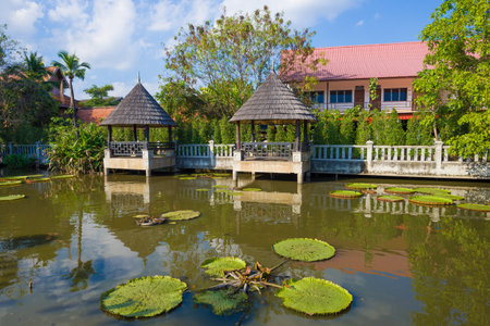 Sunny day at the monastery pond. The territory of the Buddhist temple of Wat Etlin. Chiang Mai, Thailandのeditorial素材