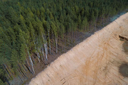 Border of the quarry advancing on the forestの写真素材