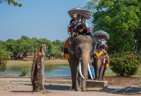 AYUTTHAYA, THAILAND - JANUARY 01, 2017: Tourists on elephants on a sunny day. Walk through the old townのeditorial素材