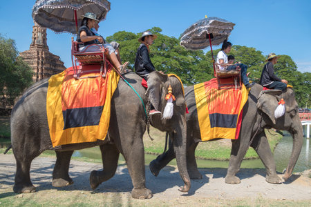 AYUTTHAYA, THAILAND - JANUARY 01, 2017: Elephant trekking in the historic center of Ayutthaya cityのeditorial素材