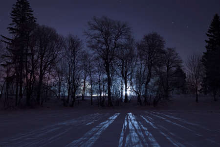 The shore of Lake Ladoga on a February night. Leningrad region. Russiaの写真素材