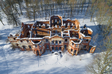 Top view of the ruins of the ancient Potemkin palace in Gostilitsy village on a February afternoon. Leningrad region, Russiaの写真素材