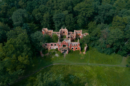 View from the height of the ruins of the ancient house of the estate of barons Vrangel on a sunny July day (aerial photography). Torosovo. Leningrad region, Russiaのeditorial素材