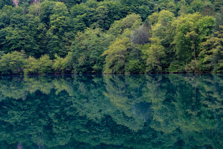 The surface of the Lower Blue Lake (Tserik-Kel, Cherek-Kel) and a fragment of the shore on a June morning. Kabardino-Balkaria, Russiaの写真素材