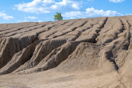 A small lonely tree on a cracked layer of lifeless earth. Natural-anthropogenic complex Konduki...
