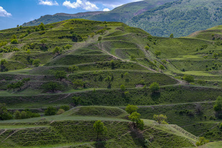 Old mountain terraces for farming on a May day. The outskirts of the village of Chokh. Dagestan, Russiaの写真素材