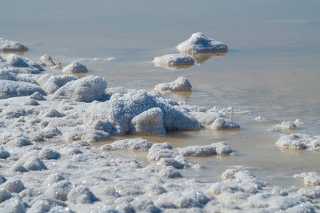 The shore covered with salt crystals on a sunny May day. Lake Elton. Volgograd region, Russia