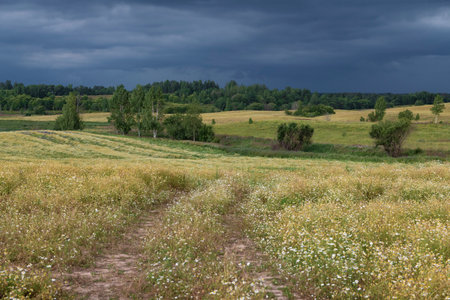 Field before thunderstorm. Vicinity of the city of Velikiye Luki. Pskov region, Russiaの写真素材