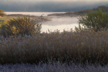 A foggy October morning in the floodplain of the Sorot River. Pushkin Mountains. Pskov region, Russiaの写真素材