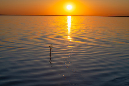 May sunset on the salt lake Elton. Volgograd region, Russiaの写真素材