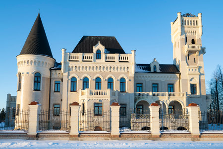 KRASNY PROFINTERN, RUSSIA - JANUARY 06, 2025: Ancient castle of merchant Ponizovkin close-up on a sunny January dayのeditorial素材