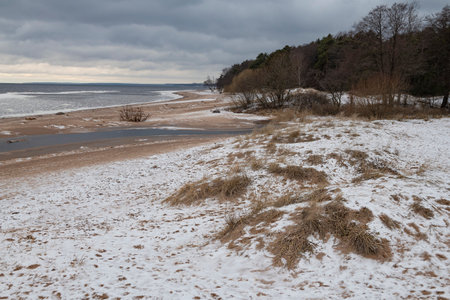 Cloudy December day on the shore of the Gulf of Finland. Komarovo Coast, Leningrad Region. Russiaの写真素材
