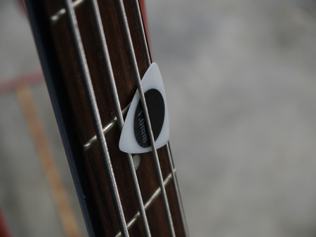 black& white guitar pick on the fingerboard