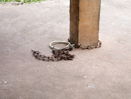 Chained dog collar attached to a cement pillar