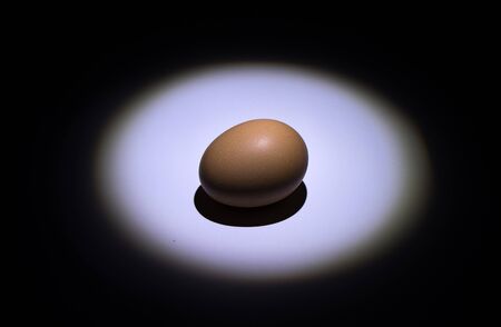 Light shines into the egg  in the dark nightの写真素材