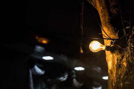 The light bulb was attached to the treeの写真素材