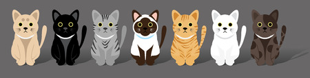 Cute cats gang vector illustration.のイラスト素材