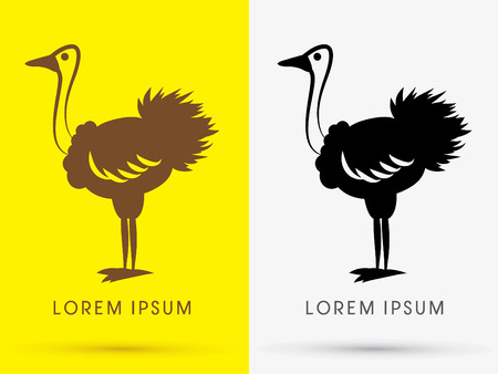 Ostrich icon graphic symbol Vector.のイラスト素材