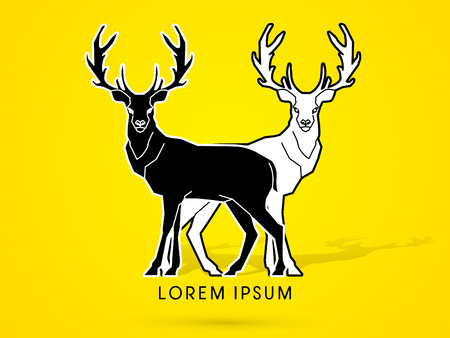 Black and white deer, sign ,logo, symbol, icon, graphic, vector.のイラスト素材